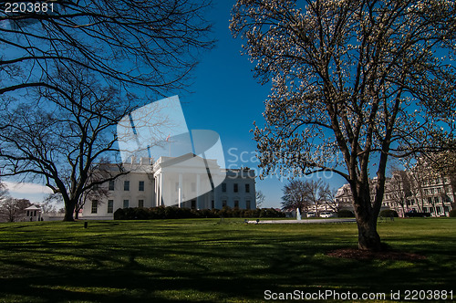 Image of The White House in Washington DC with beautiful blue sky