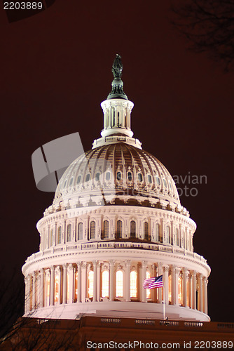 Image of US Capitol Building in spring- Washington DC, United States