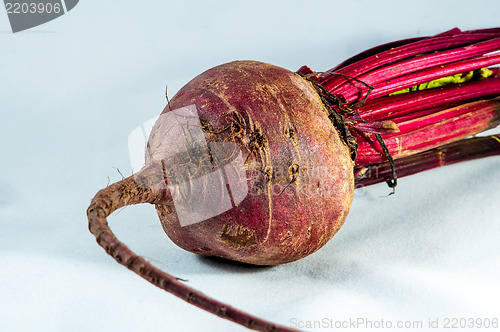 Image of beetroot over white background