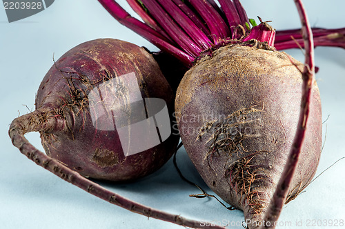 Image of two beetroots over white background