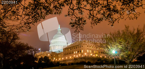 Image of US Capitol Building in spring- Washington DC, United States
