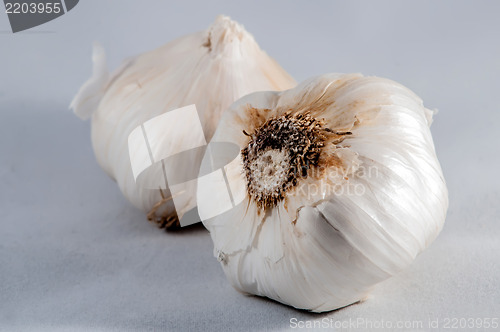 Image of Garlic isolated on white background
