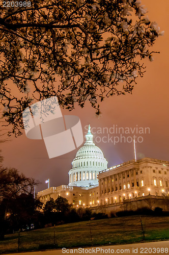 Image of US Capitol Building in spring- Washington DC, United States