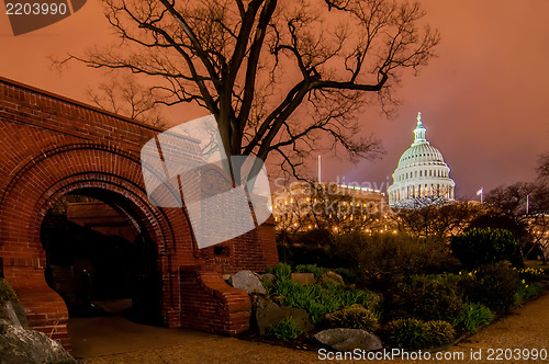 Image of US Capitol Building in spring- Washington DC, United States