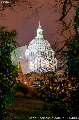 Image of US Capitol Building in spring- Washington DC, United States