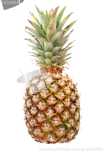 Image of Pineapple