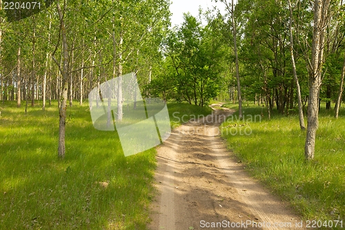 Image of Dirt Road