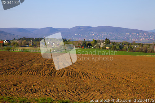 Image of Field