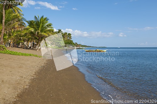 Image of Donsol, The Whale Shark Capital