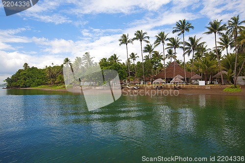 Image of Donsol, The Whale Shark Capital