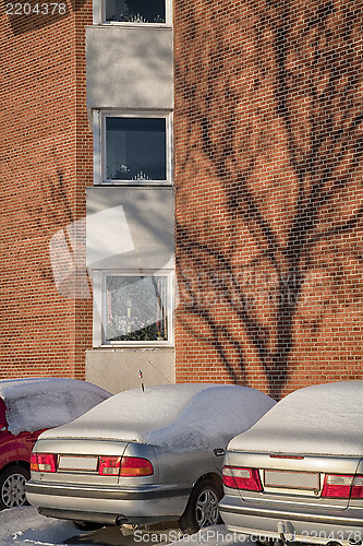 Image of Winter afternoon after snowfall