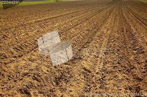 Image of Soil