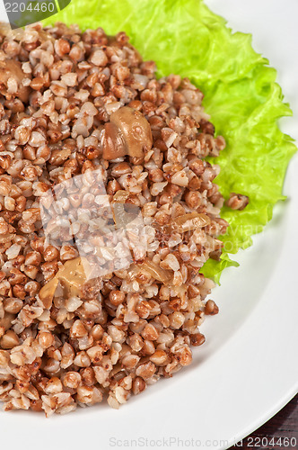 Image of buckwheat