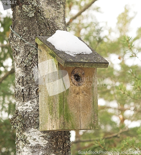 Image of Bird house