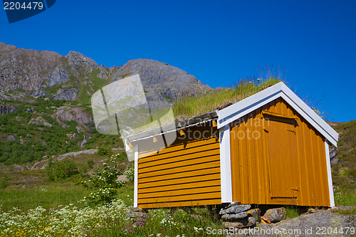 Image of Shed with green roof