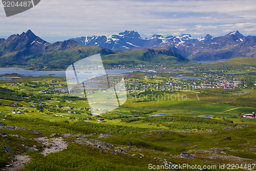 Image of Green Lofoten