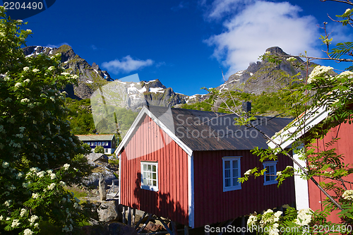 Image of Fishing huts in Nusfjord