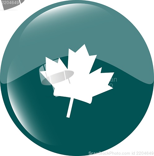 Image of mapple leaf icon glassy green button