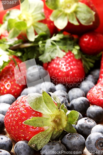 Image of Summer Fruits