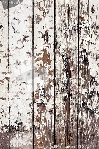 Image of grungy white background of natural wood