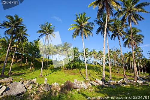 Image of Donsol, The Whale Shark Capital