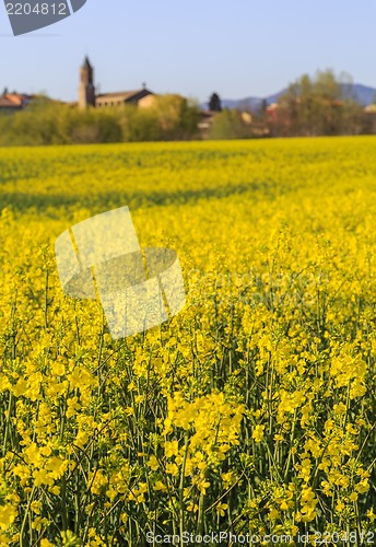 Image of Rural landscape 