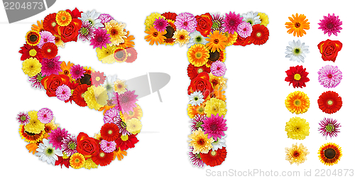 Image of Characters S and T made of various flowers