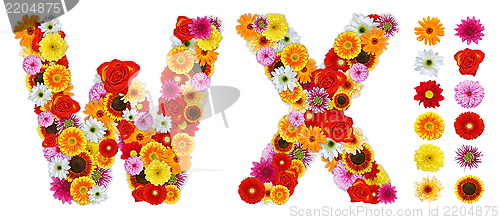 Image of Characters W and X made of various flowers