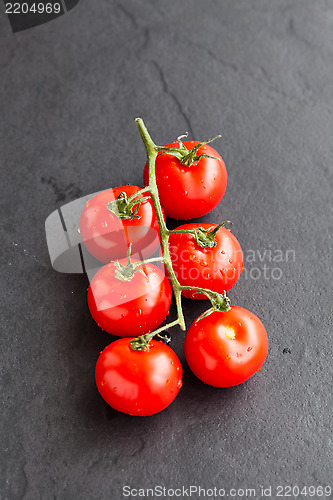 Image of Fresh tomatoes