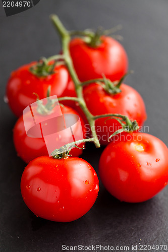 Image of Fresh tomatoes