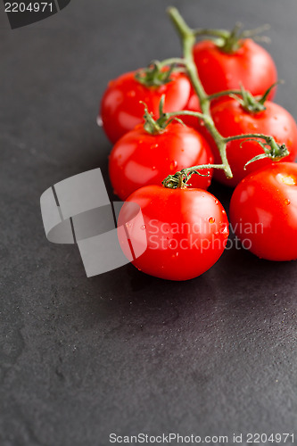 Image of Fresh tomatoes