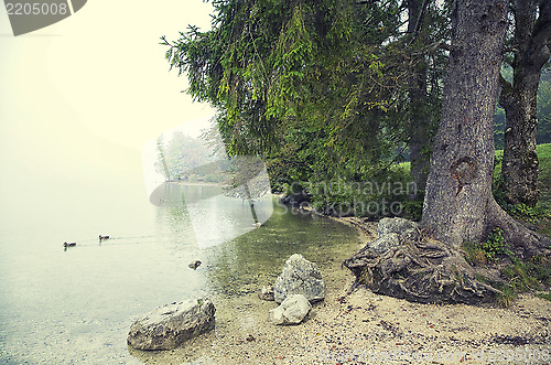 Image of By Lake Bohinj Slovenia