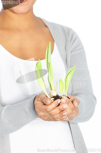 Image of Plant in hand