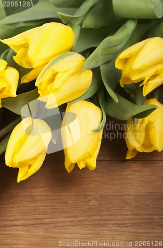 Image of Yellow tulips