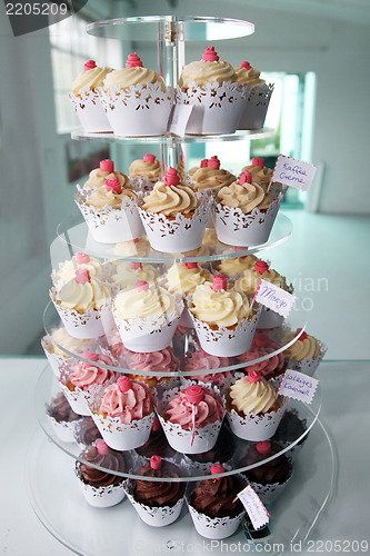 Image of Elegant cupcakes exposed in a confectionery