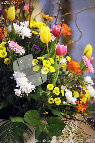 Image of Beautiful various flowers in a summer day