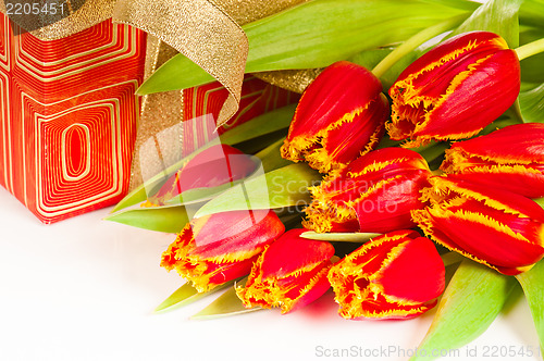 Image of Red tulip with petals fringed by yellow and gift box, it is isol