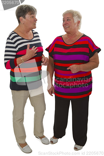 Image of Two female seniors