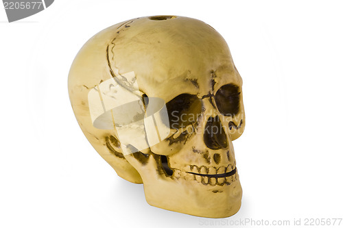 Image of Human skull_2