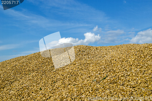 Image of pile ecological wheat grain corn harvest sky 