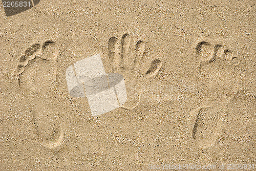 Image of Traces on sand