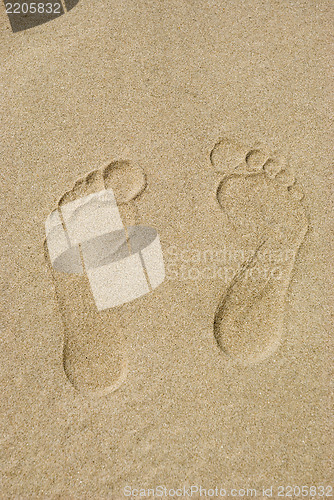 Image of Traces on sand