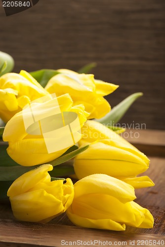 Image of yellow tulips