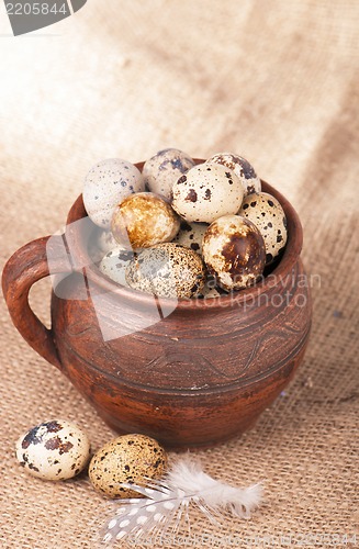 Image of Quail eggs in a jug, a feather on a canvas