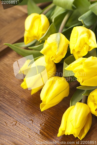 Image of yellow tulips