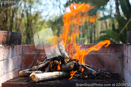 Image of Flames 