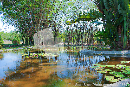 Image of Pond