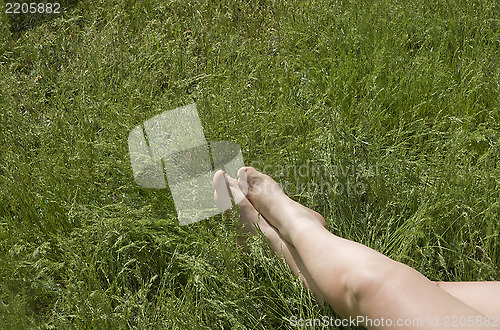 Image of Summer resting