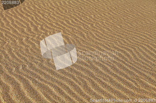 Image of Rippled sand