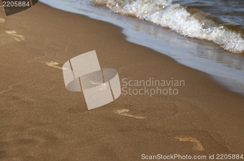 Image of Footprints along the shore